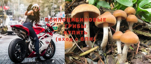 стафф Вяземский