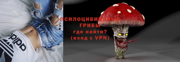 стафф Вяземский