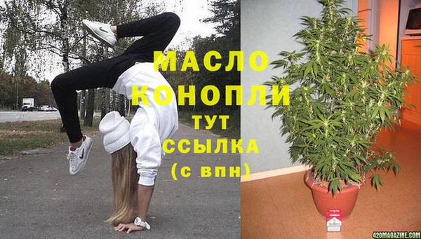 стафф Вяземский
