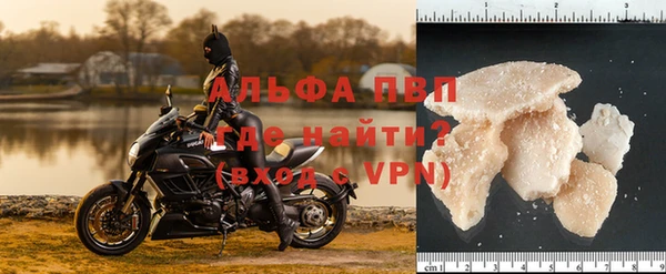 стафф Вяземский
