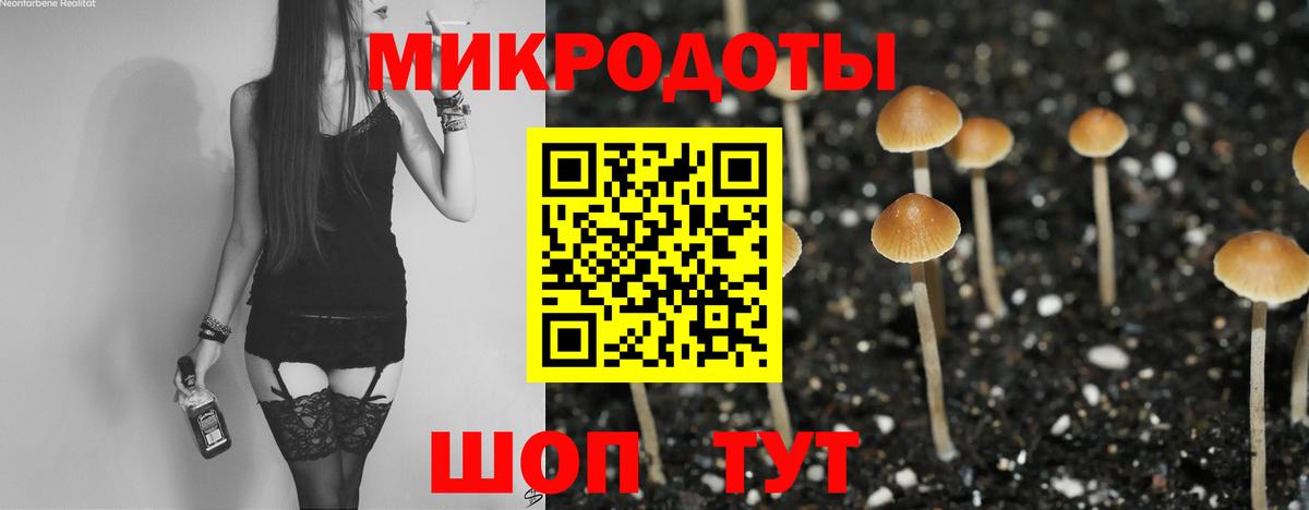 Псилоцибиновые грибы MAGIC MUSHROOMS  Вход с VPN  где купить наркотик  Екатеринбург  Галлюциногенные грибы мицелий 
